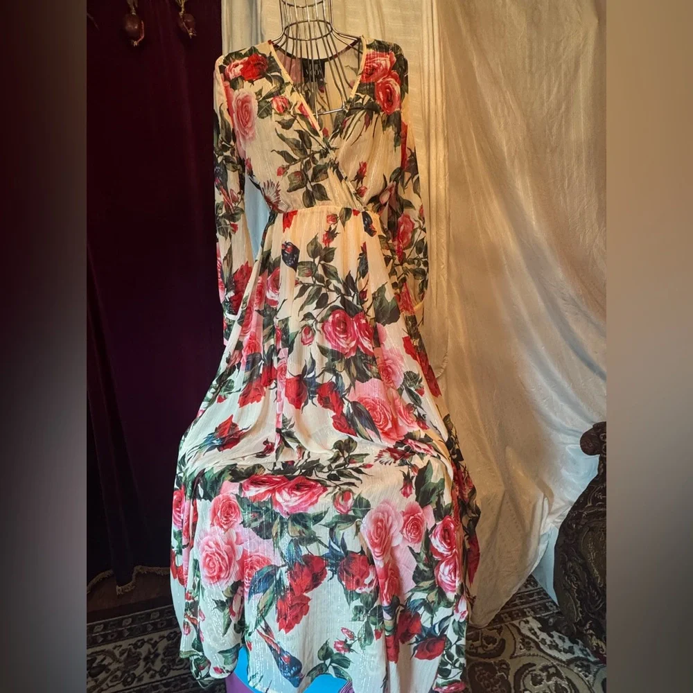 Rosebud and Sapsucker Maxi Dress with Silver Thread Detail, Small - Picture 3 of 9